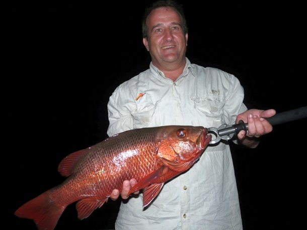 Fish Facts: Mangrove Jacks